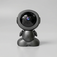 SpyCam™ Nanny